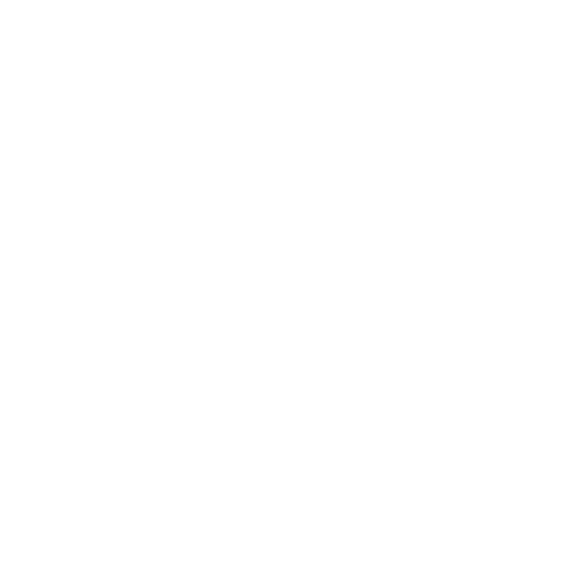 Ank Shakti